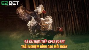 Đá Gà Trực Tiếp CPC3 E2BET - Trải Nghiệm Đỉnh Cao Mỗi Ngày