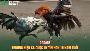 DAGA88 - Thương Hiệu Cá Cược Uy Tín Hơn 15 Năm Tuổi