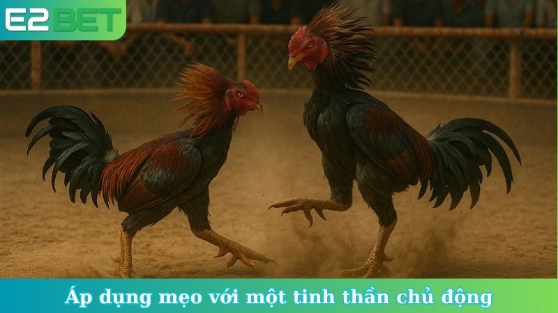 Áp dụng mẹo với một tinh thần chủ động