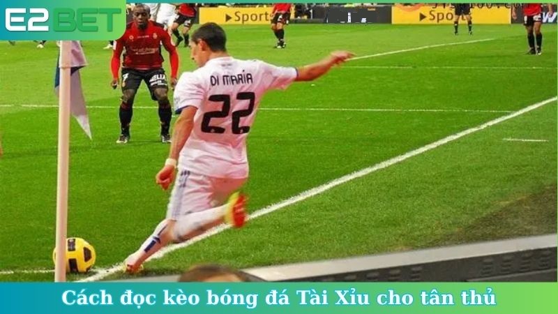 Cách đọc kèo bóng đá Tài Xỉu