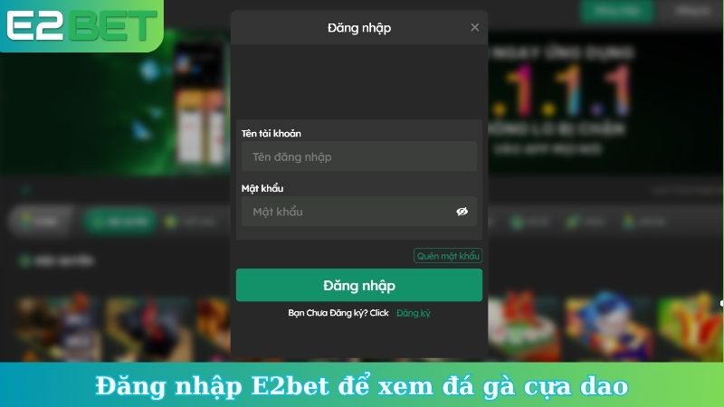 Đăng nhập E2bet để xem đá gà cựa dao