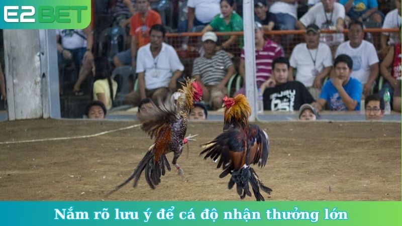 Nắm rõ lưu ý để cá độ nhận thưởng lớn